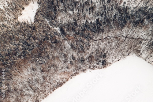 Snowy forest from above in Kentucky 
