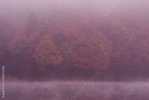 A landscape photo with impressive autumn mountain light. A calm impression.