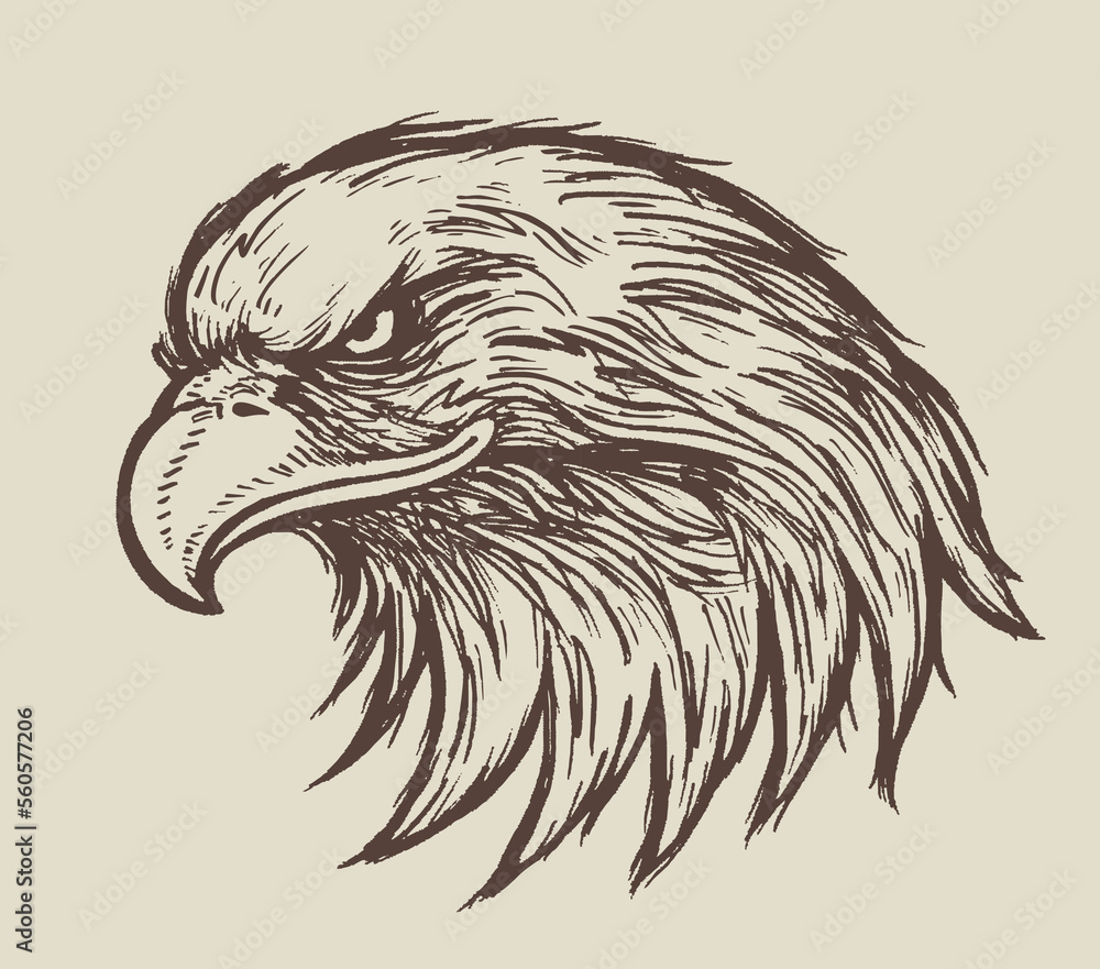 Eagle Logo, Eagle image, Vector Logo Template Eagle Logo, Eagle image, Vector Logo Template