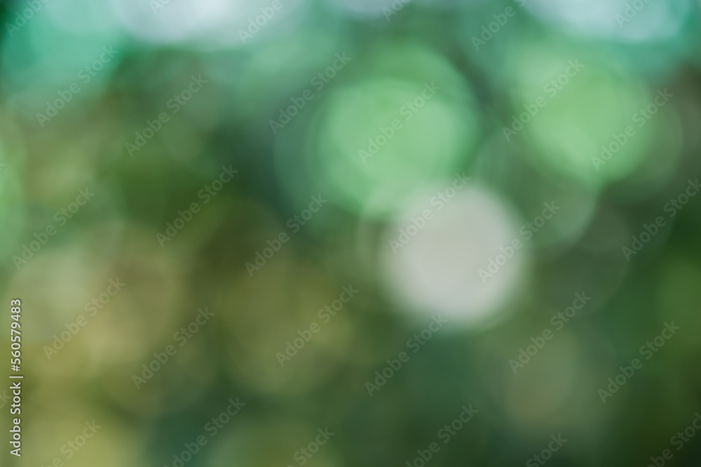 Obraz premium green bokeh background,green bokeh,green bokeh abstract 