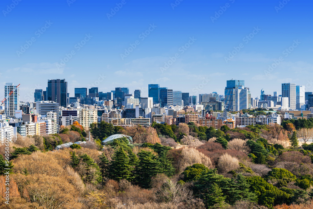 Obraz premium 東京 青空と都市風景