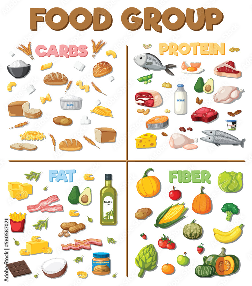 The four main food groups The four main food groups