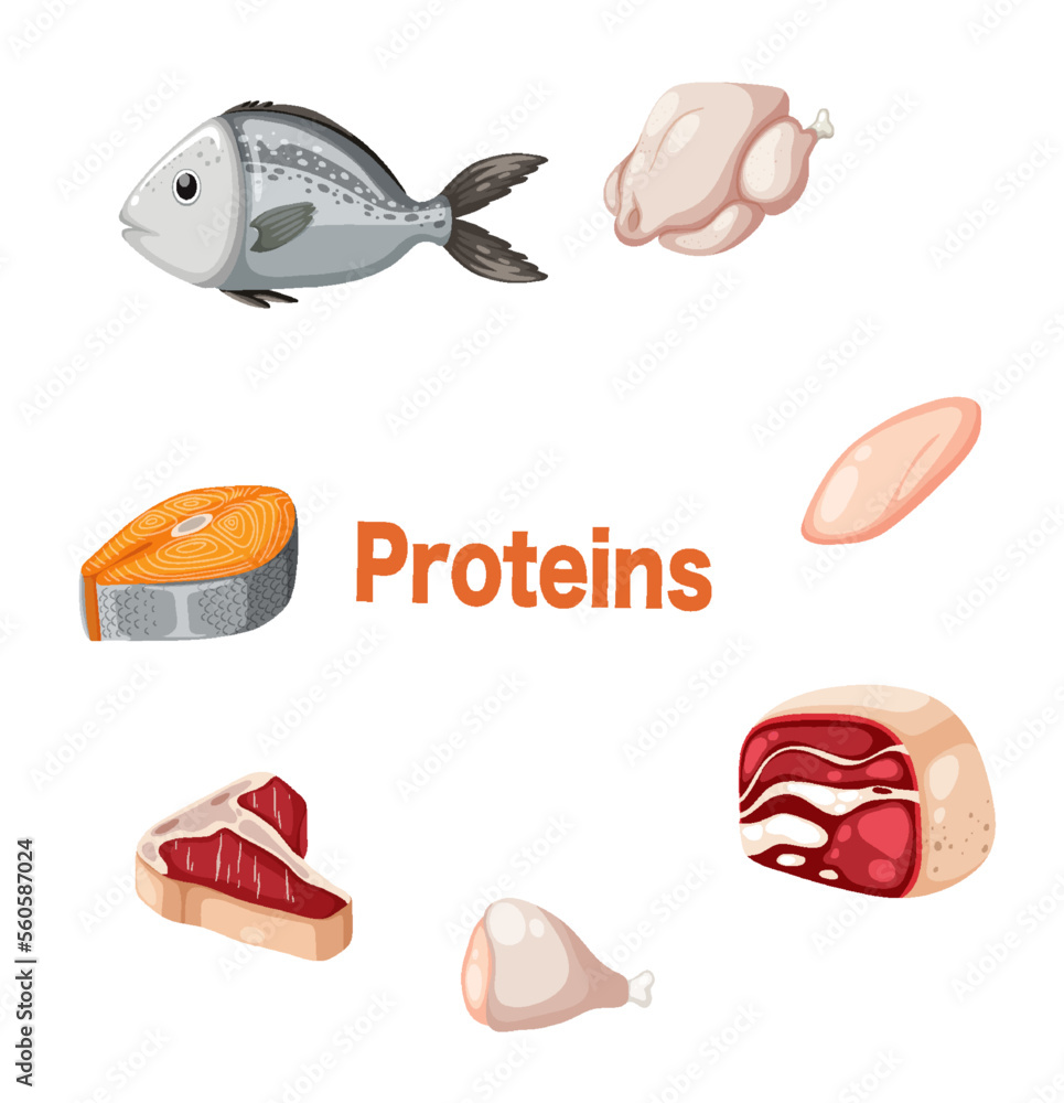 Naklejka premium Meats surrounding proteins text