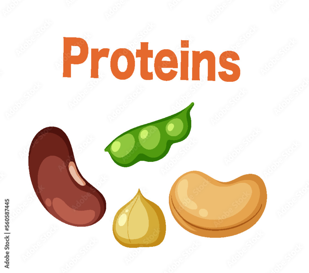 Protiens text with various of nuts Protiens text with various of nuts