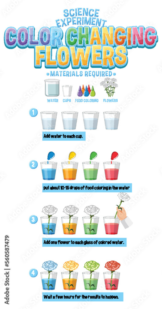 Obraz premium Color Changing Flowers Science Experiment