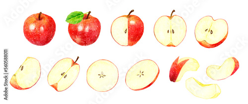 赤いりんごのセット　フルーツの手描き水彩イラスト素材集
