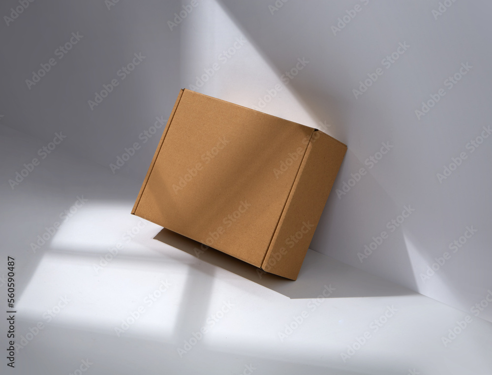 © runrun2 - Empty cardboard Box with window shadow
