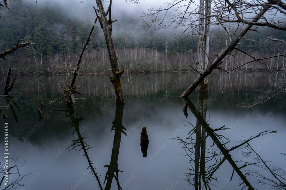 Fototapeta premium 長野県王滝村 初冬の自然湖