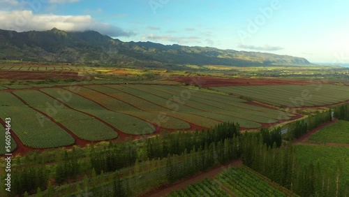Wallpaper Mural Aerial Shot Of Cars Moving On Road Under Clouds, Drone Flying Forward Over Agricultural Landscape - Oahu, Hawaii Torontodigital.ca