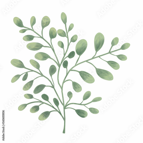 Watercolor green leaves element. Botanical vector isolated on a white background suitable for wedding invitation design, save the date, thanks giving, or greeting card.