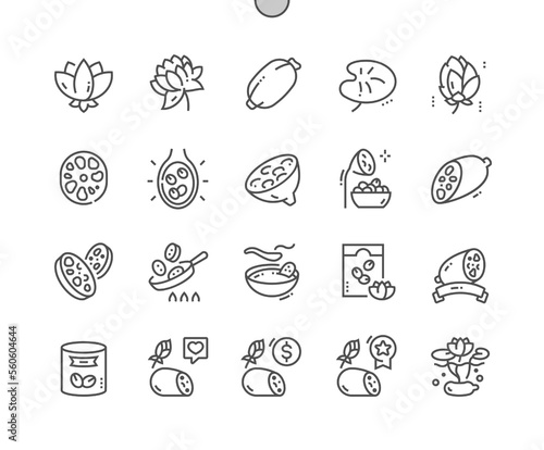 Lotus eating. Lotus root vegetable and slice. Cooking, recipes and price. Menu for cafe. Lotus root chips. Pixel Perfect Vector Thin Line Icons. Simple Minimal Pictogram