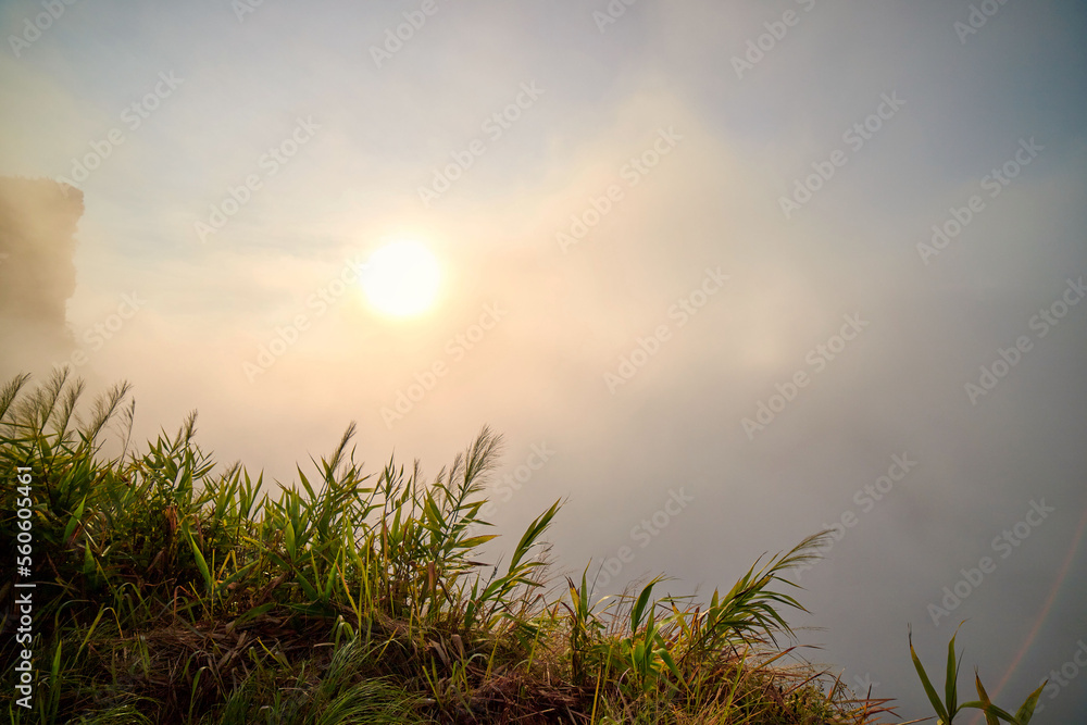 Fog in early morning over the mountain at Phu Chee Fah in Thailand