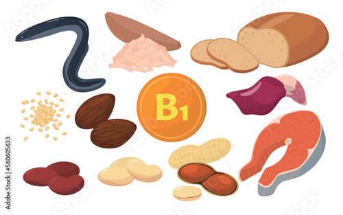 Vector illustration of foods containing vitamin B1.