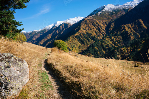 A dirt road leads through the autumnal mountains of Georgia. In the foreground we have tall yellow grass and a rock. In the background high, snow-capped mountains with a blue sky.