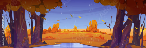 Rain in autumn forest, wild nature landscape. Cartoon fall background with puddle, fields, yellow grass under orange trees with falling leaves and water shower falling from sky Vector illustration