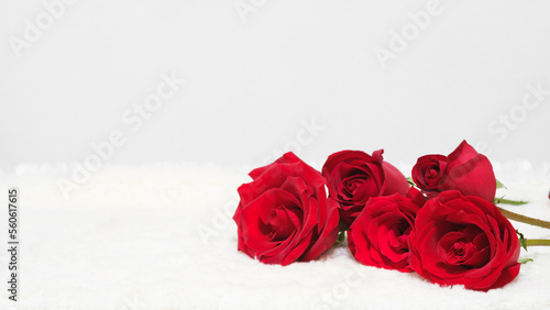 Valentine s day date 14 february. Background with red roses bouquet on white background. Greeting card template for Valentines Day. Copy space for text.