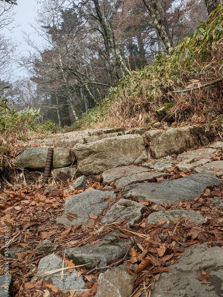 Obraz premium 山道