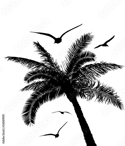Monochrome palm trees and seagulls. Vector illustration © Мария Неноглядова