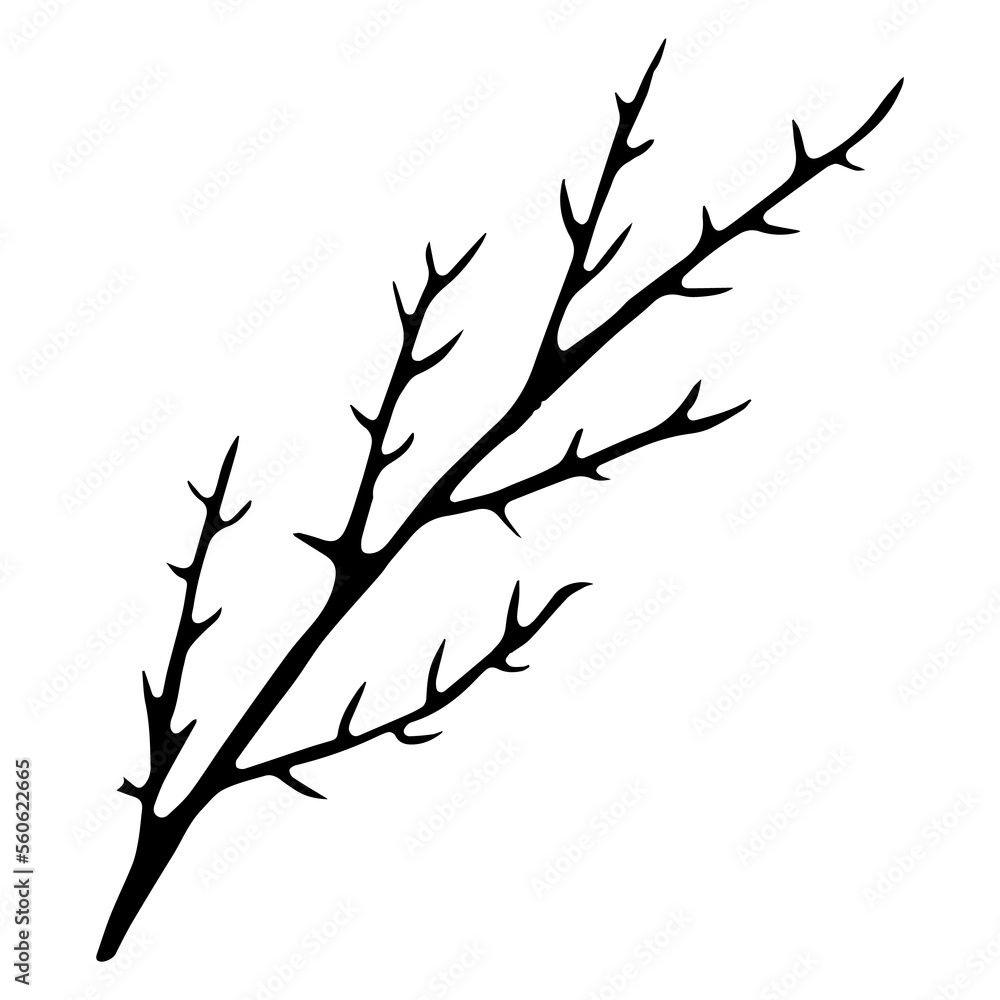 Black and White Hand Drawn Flower Leaves Silhouette Isolated on Transparent Background.