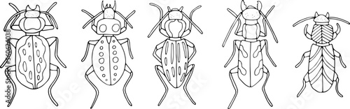 Beetles doodle icons set. Collection of sketches of different beetles. Hand drawn vector illustration. traced image.

