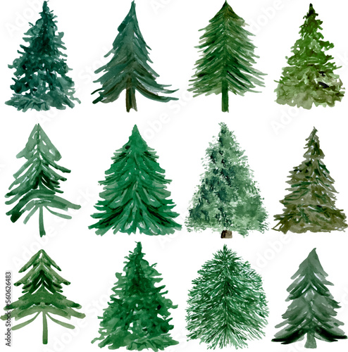 Watercolor set of green conifer trees isolated on white
