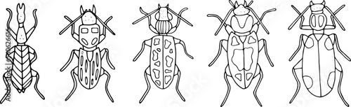Beetles doodle icons set. Collection of sketches of different beetles. Hand drawn vector illustration. traced image.
