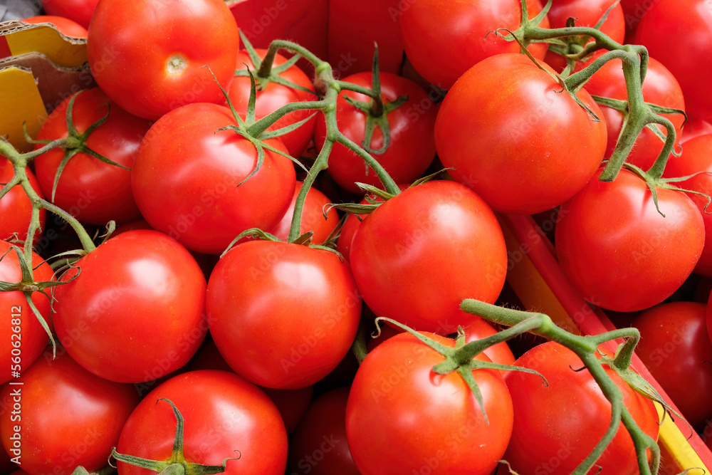Tomatoes Tomatoes