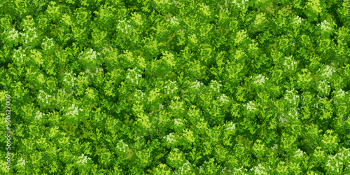 Green raindeer moss textute on the wall as a seamless pattern. Vector background. Vertical garden concept for home or office. Eco scandinavian interior. Growing decorative plants. Greenery wallpaper