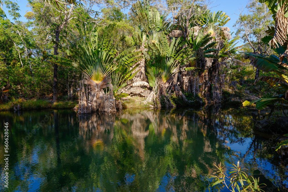 Paysage tropical dans l'ouest de Madagascar