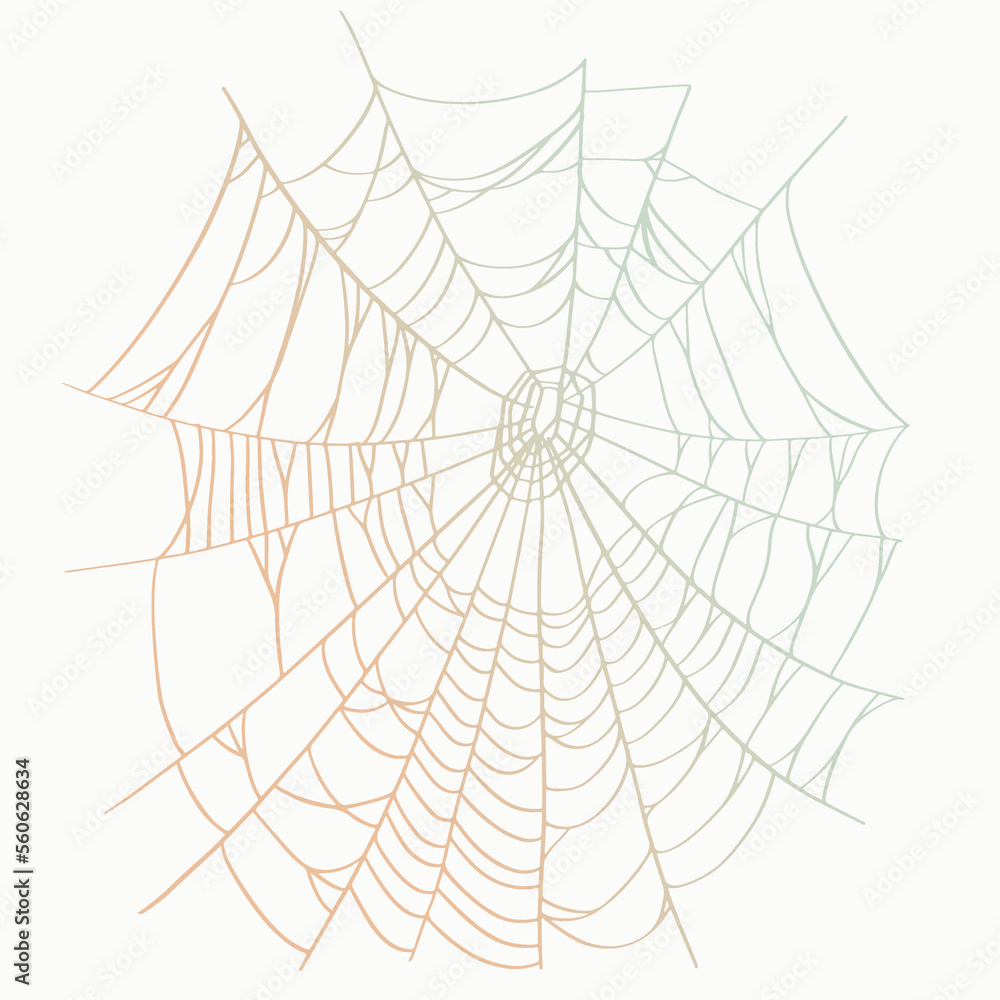 Obraz premium Vector outline illustration of a simple fancy Halloween spider web, isolated object on the white background, clipart useful for halloween party decoration, hand drawn image, cartoon spooky character.