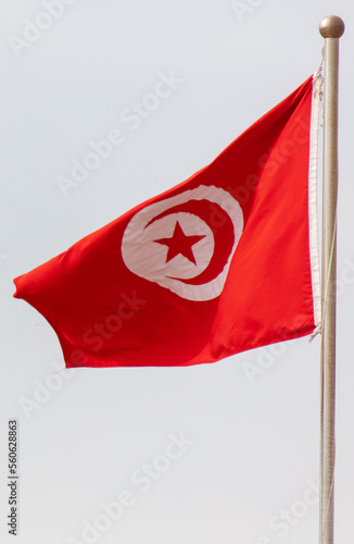 Flag of Turkey against the sky.