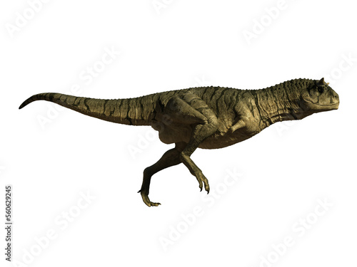 dinosaur carnotaurus  3d render