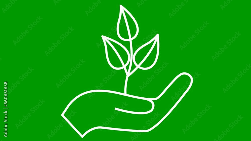 Linear ecology icon. Tree sprout in hand. The white symbol is drawn gradualaty. Looped video. Concept of ecology care, saving the nature, harvest. Vector illustration isolated on green background.
Linear ecology icon. Tree sprout in hand. The white symbol is drawn gradualaty. Looped video. Concept of ecology care, saving the nature, harvest. Vector illustration isolated on green background.