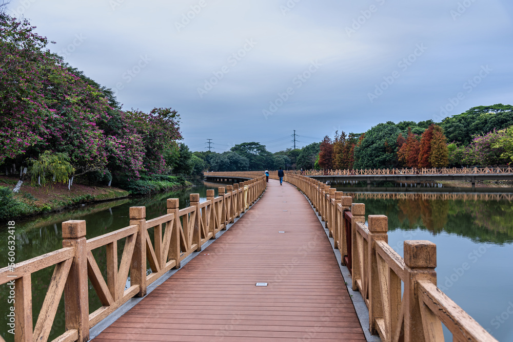 Landscape of Dongguan Ecological Garden in south china. Wooden bridge over lake in the park. Leaves of bald cypress turn copper red in winter. 