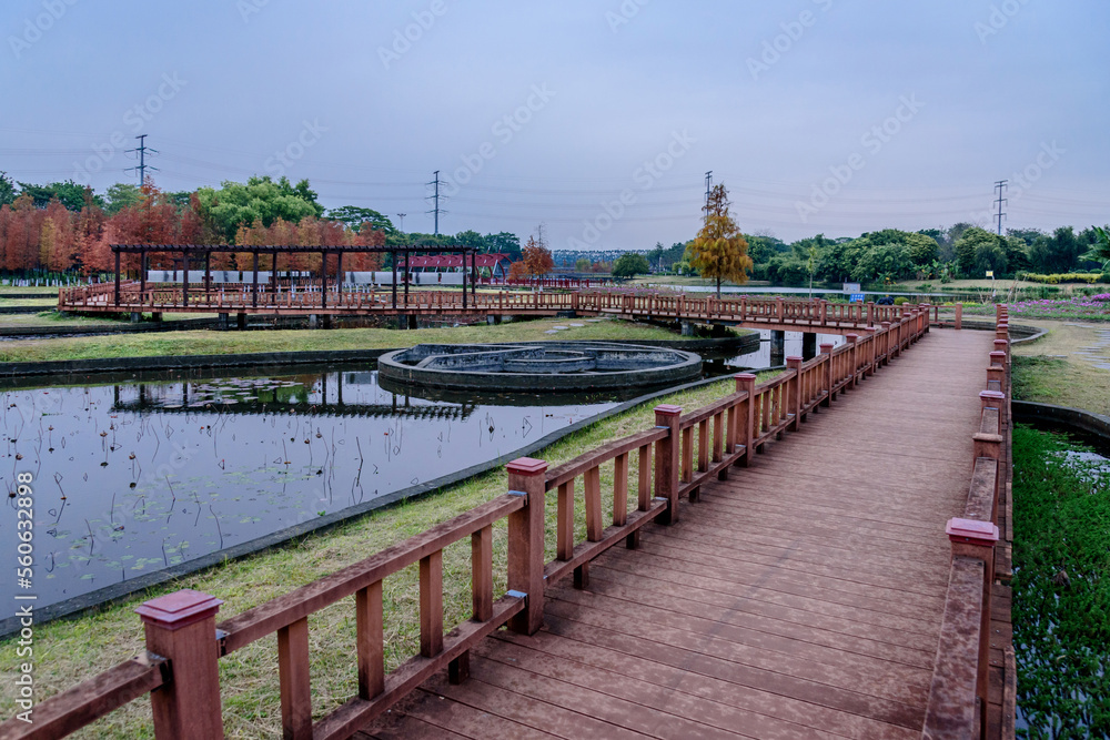 Landscape of Dongguan Ecological Garden in south china. Wooden bridge over lake in the park. Leaves of bald cypress turn copper red in winter. 
