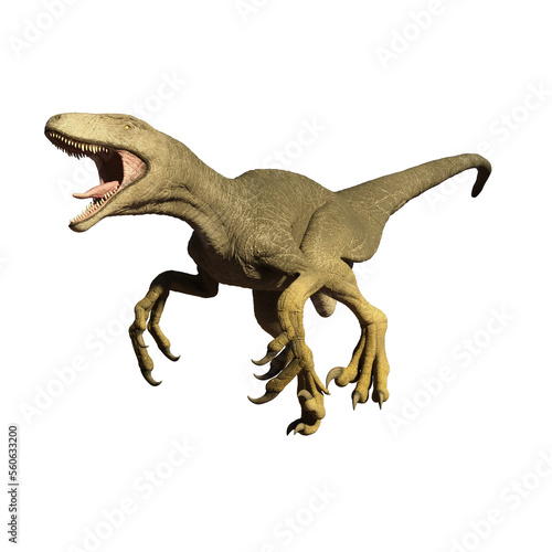 dinosaur velociraptor  3d render © david