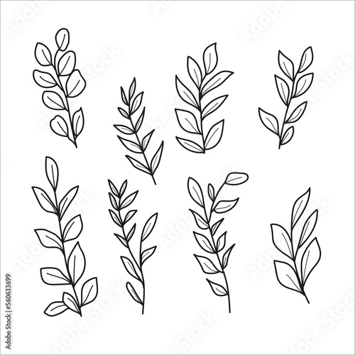 A set of hand drawn botanical line illustrations  isolated on a white background. Simple foliage and floral elements for design.