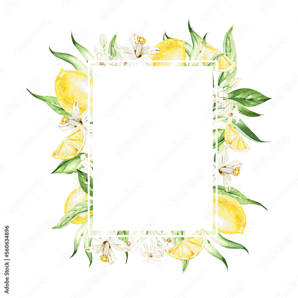 Tropical lemon fruits and leaves, flowers, card on white background, watercolor illustration Tropical lemon fruits and leaves, flowers, card on white background, watercolor illustration