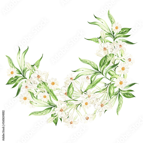 Tropical leaves, flowers, wreath on white background, watercolor illustration