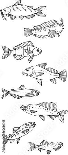 Underwater world of fishes doodle icons set. Collection of fish sketches. Hand drawn vector illustration. traced image.
