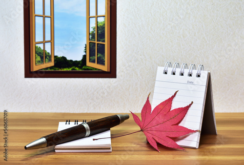 紅葉の季節