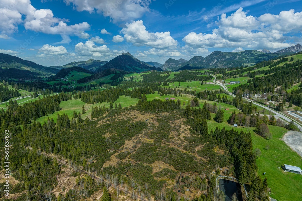 Ausblick auf das Kematsried-Moos am Oberjoch im bayerischen Allgäu