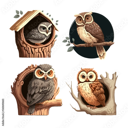 Owl birds. Isolated on background. Cartoon flat vector illustration