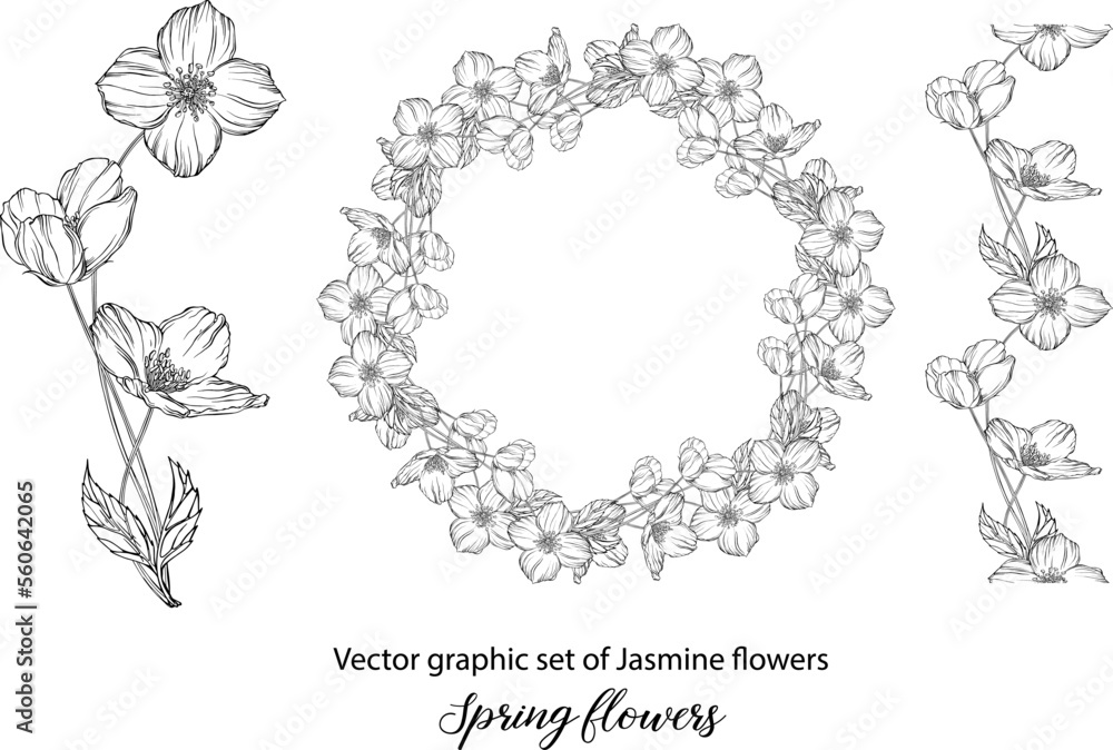A set of graphic flower compositions with Jasmine flowers. Jasmine. wedding, scrapbooking A set of graphic flower compositions with Jasmine flowers. Jasmine. wedding, scrapbooking