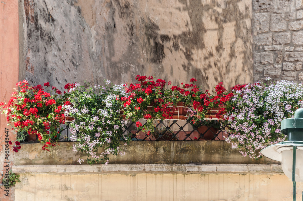 The wall of an apartment house and many flowers on a small terrace.