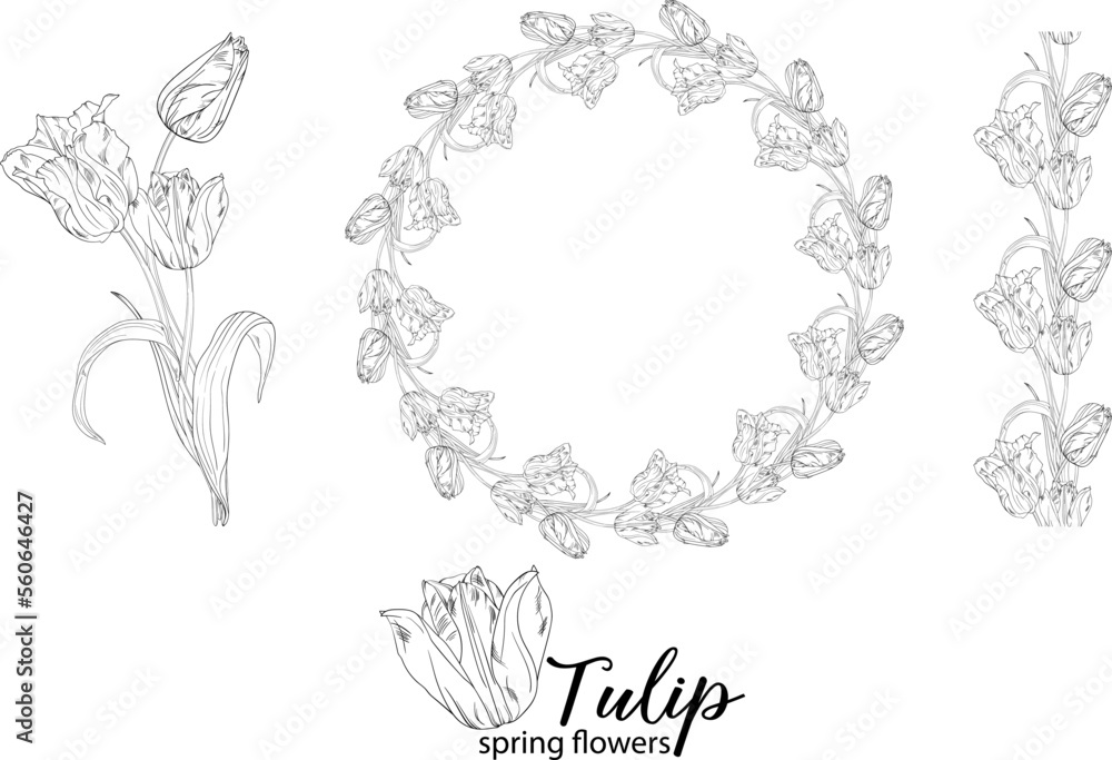 graphic floral arrangements with Tulip flowers. Spring flowers. graphic floral arrangements with Tulip flowers. Spring flowers.