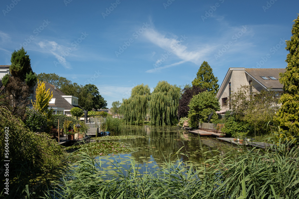 Obraz premium Suburban neighbourhood in Gouda Netherlands where back yards run into canal networks that bustle with nature and life. Lillies, trees, reed and bushes make this living area green and vibrant