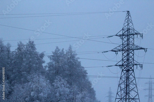 Power line and snow trees.