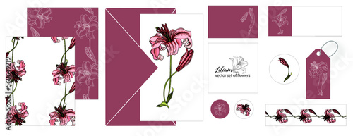 Set of postcards with Lily flowers