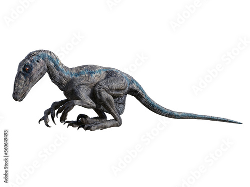 dinosaur velociraptor 3d render © david